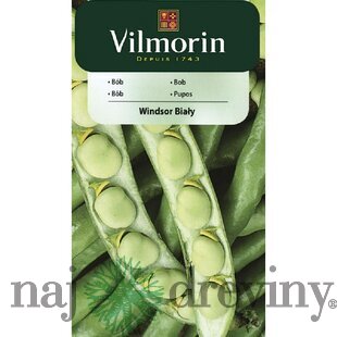 Vilmorin Bôb Windsor 40 g