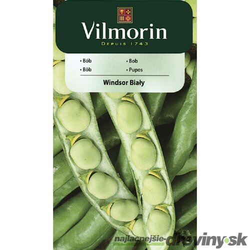 Vilmorin Bôb Windsor 40 g