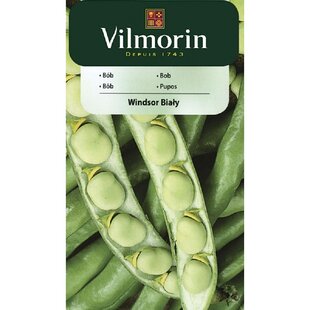 Vilmorin Bôb Windsor 40 g