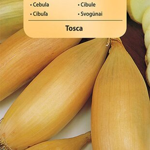 Vilmorin Cibuľka jarná Tosca 2 g