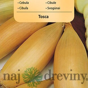 Vilmorin Cibuľka jarná Tosca 2 g