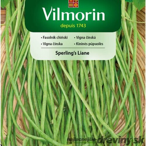 Vilmorin čínska fazuľa -Vigna čínska Sperling´s Liane 1 meter dlhé struky semiačka 20 ks