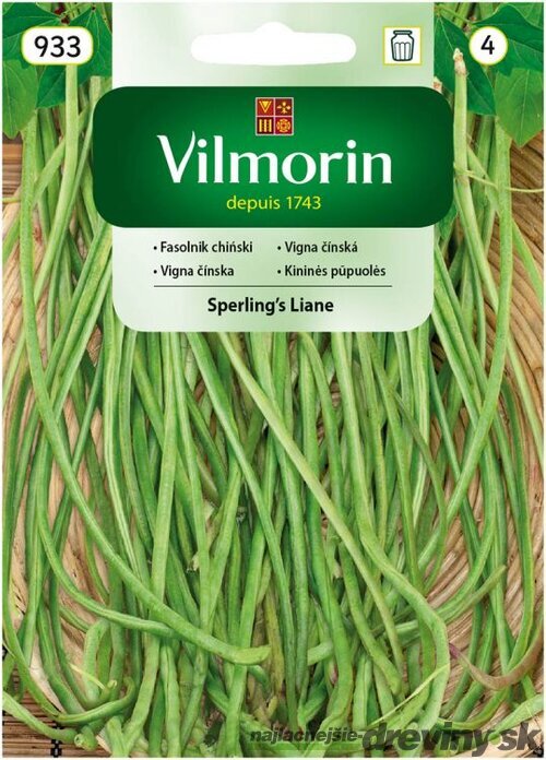 Vilmorin čínska fazuľa -Vigna čínska Sperling´s Liane 1 meter dlhé struky semiačka 20 ks