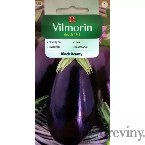 Vilmorin CLASSIC Baklažán BLACK BEAUTY 2 g