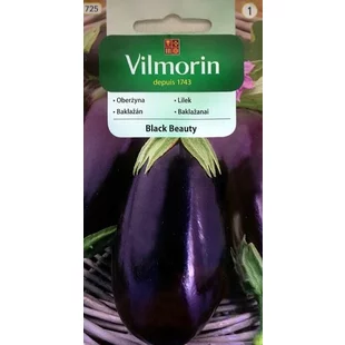 Vilmorin CLASSIC Baklažán BLACK BEAUTY 2 g