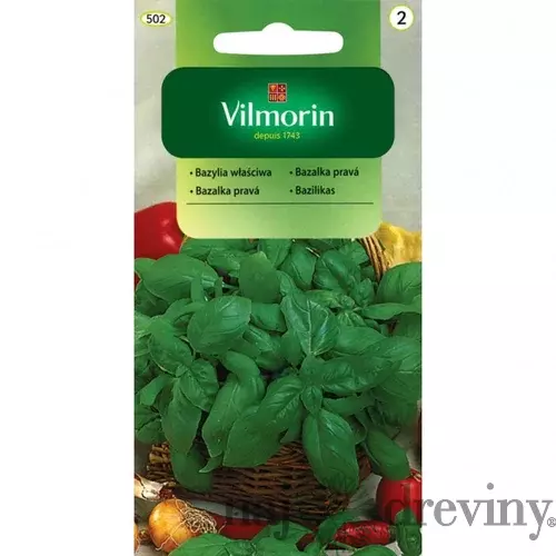 Vilmorin CLASSIC Bazalka pravá 1 g