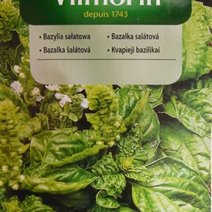 Vilmorin CLASSIC Bazalka šalátová 1 g