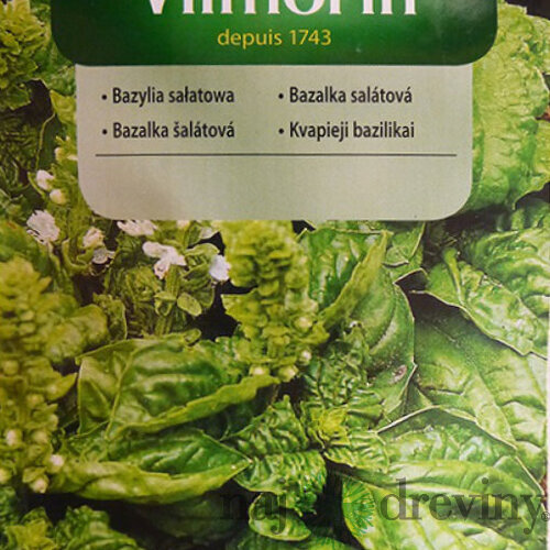 Vilmorin CLASSIC Bazalka šalátová 1 g