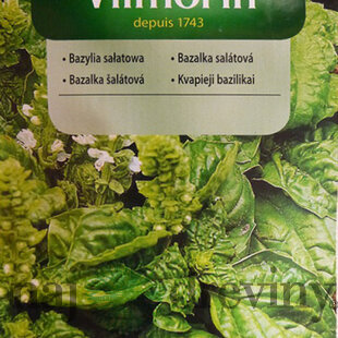 Vilmorin CLASSIC Bazalka šalátová 1 g