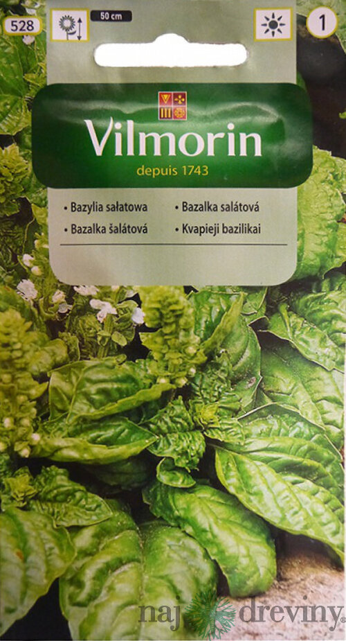Vilmorin CLASSIC Bazalka šalátová 1 g