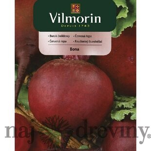 Vilmorin CLASSIC Červená repa BONA neskorá 10 g