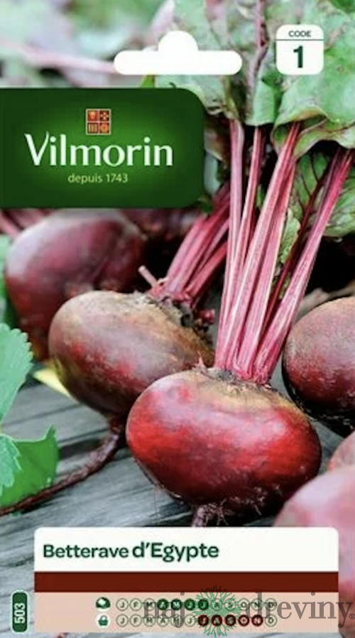 Vilmorin CLASSIC Červená repa d‘ Egypte - skorá 10 g
