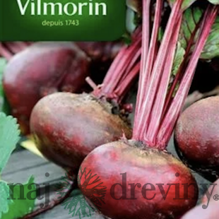 Vilmorin CLASSIC Červená repa d‘ Egypte - skorá 10 g