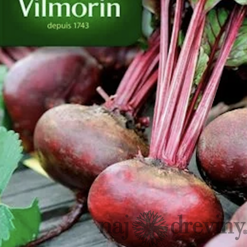 Vilmorin CLASSIC Červená repa d‘ Egypte - skorá 10 g