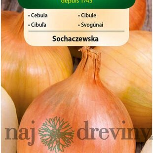 Vilmorin CLASSIC Cibuľa SOCHACZEWSKA neskorá 5 g