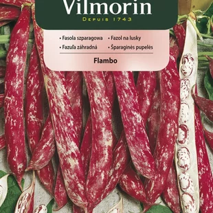 Vilmorin CLASSIC Fazuľa záhradná FLAMBO skorá 30 g