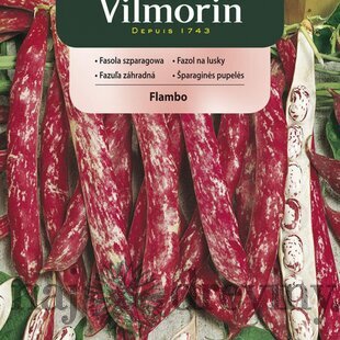 Vilmorin CLASSIC Fazuľa záhradná FLAMBO skorá 30 g