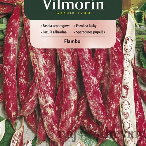 Vilmorin CLASSIC Fazuľa záhradná FLAMBO skorá 30 g
