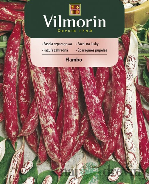 Vilmorin CLASSIC Fazuľa záhradná FLAMBO skorá 30 g