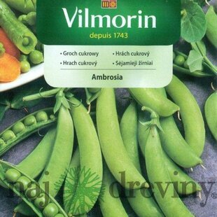 Vilmorin CLASSIC Hrach cukrový AMBROSIA skorý 40 g