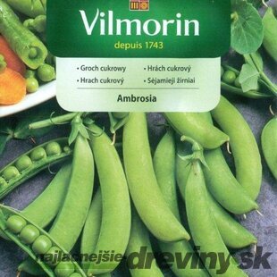 Vilmorin CLASSIC Hrach cukrový AMBROSIA skorý 40 g
