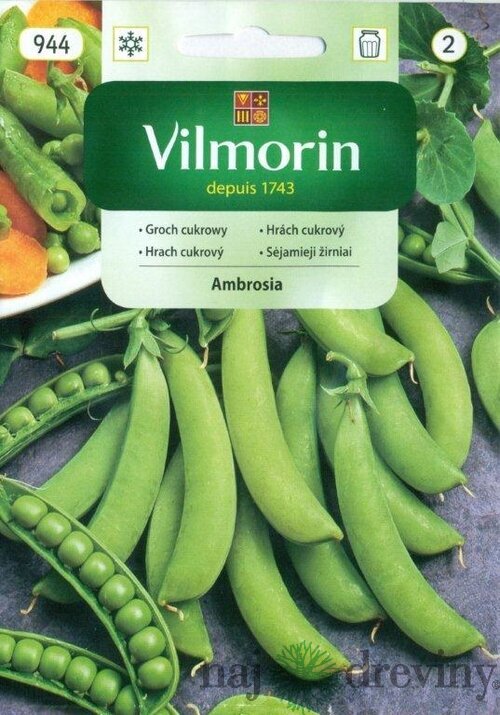 Vilmorin CLASSIC Hrach cukrový AMBROSIA skorý 40 g