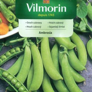Vilmorin CLASSIC Hrach cukrový AMBROSIA skorý 40 g