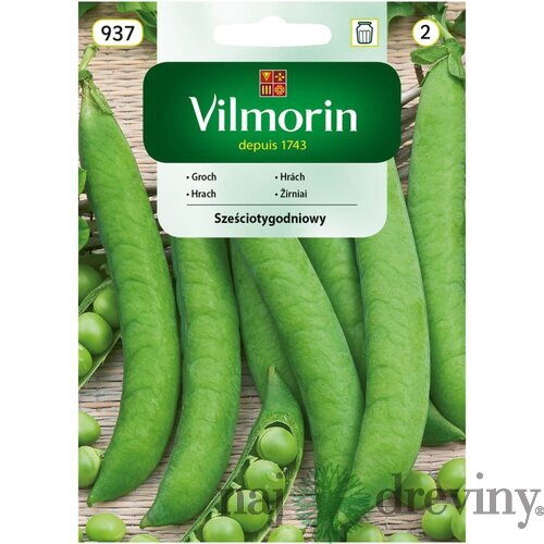 Vilmorin CLASSIC Hrach šesťtýždňový skorý 40 g