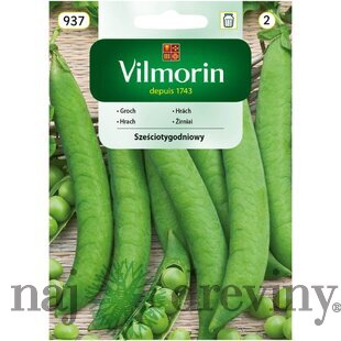 Vilmorin CLASSIC Hrach šesťtýždňový skorý 40 g
