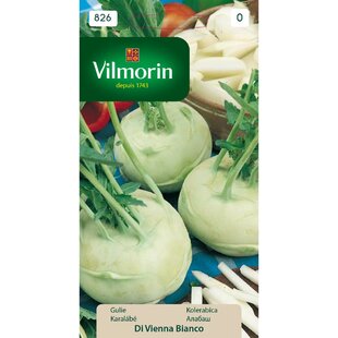 Vilmorin CLASSIC Kaleráb (Viedenský biely) DI VIENNA BIANCO - skorý 2 g