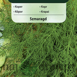 Vilmorin CLASSIC Kôpor SMARAGD - stredne skorý 5 g
