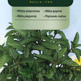 Vilmorin CLASSIC Mäta Prieporná 0,1 g