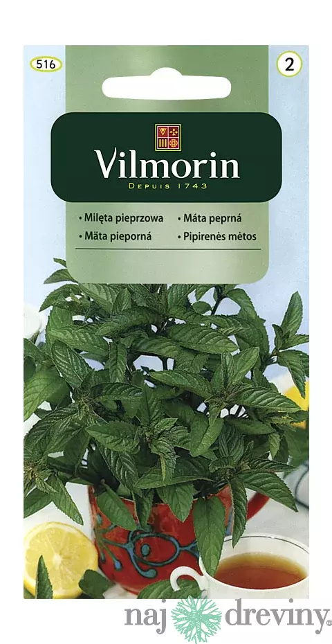 Vilmorin CLASSIC Mäta Prieporná 0,1 g