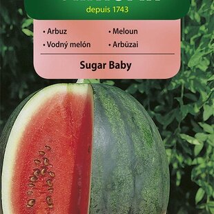 Vilmorin CLASSIC Melón SUGAR BABY - skorý 1 g