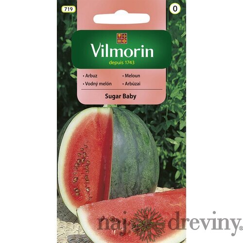 Vilmorin CLASSIC Melón SUGAR BABY - skorý 1 g