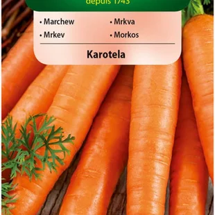 Vilmorin CLASSIC Mrkva KAROTELA skorá 5 g