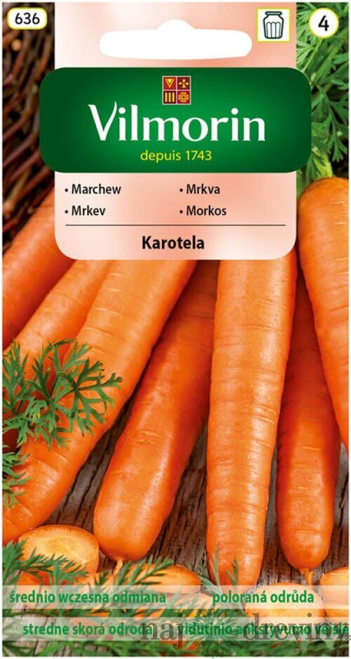 Vilmorin CLASSIC Mrkva KAROTELA skorá 5 g