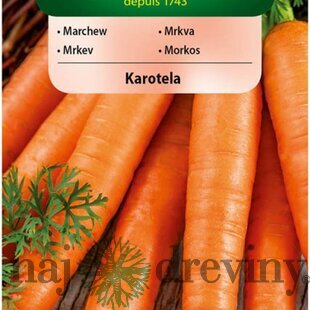 Vilmorin CLASSIC Mrkva KAROTELA skorá 5 g