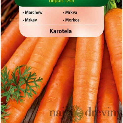 Vilmorin CLASSIC Mrkva KAROTELA skorá 5 g
