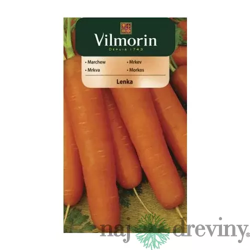Vilmorin CLASSIC Mrkva LENKA stredne neskorá 5 g