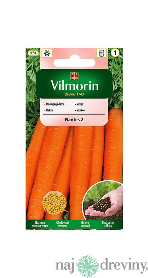 Vilmorin CLASSIC Mrkva NANTES 2 - stredne skorá 0,5 g