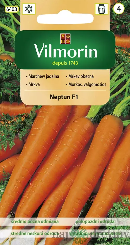 Vilmorin CLASSIC Mrkva NEPTUN F1 stredne neskorá 2 g