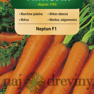 Vilmorin CLASSIC Mrkva NEPTUN F1 stredne neskorá 2 g