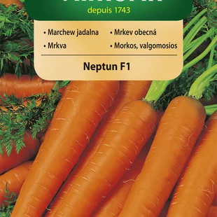 Vilmorin CLASSIC Mrkva NEPTUN F1 stredne neskorá 2 g