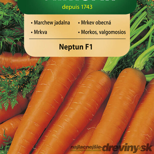 Vilmorin CLASSIC Mrkva NEPTUN F1 stredne neskorá 2 g