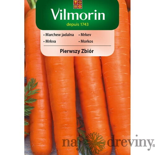 Vilmorin CLASSIC Mrkva Prvý zber skorá 5 g