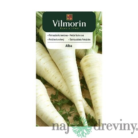 Vilmorin CLASSIC Petržlen koreňový ALBA stredne neskorý 3 g