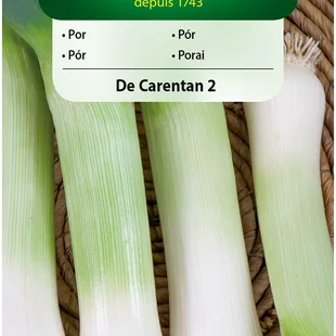 Vilmorin CLASSIC Pór DE CARENTAN 2 neskorý 1 g