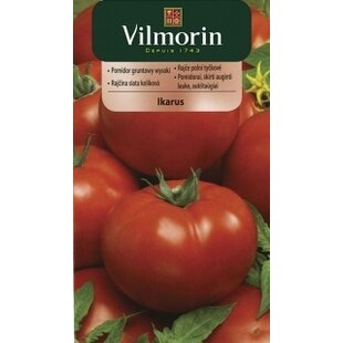 Vilmorin CLASSIC Rajčiak jedlý vysoký Ikarus 0,5 g