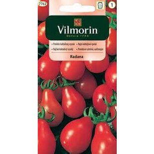Vilmorin CLASSIC Rajčiak koktejlový vysoký, Radana -stredne skorý 0,3 g